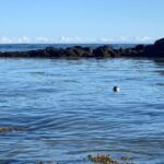 Snæfellsnes, private Super Jeep - What Makes This Tour Stand Out?