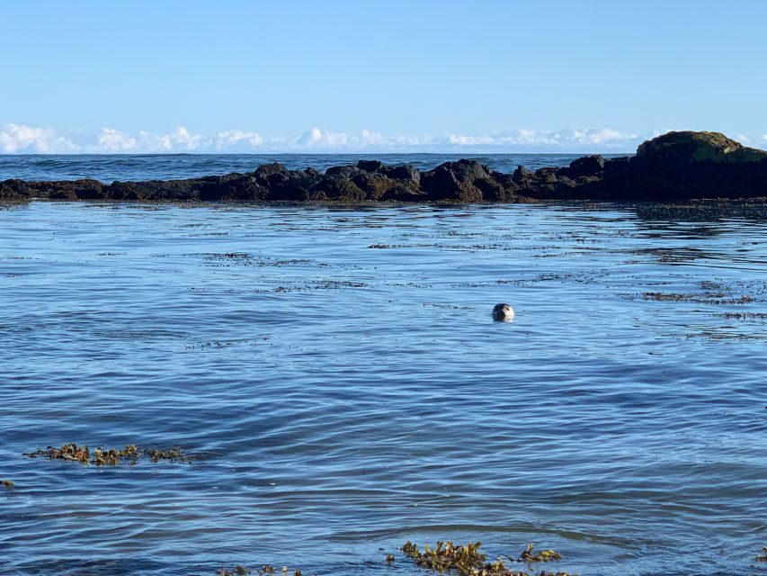 Snæfellsnes, private Super Jeep - What Makes This Tour Stand Out?