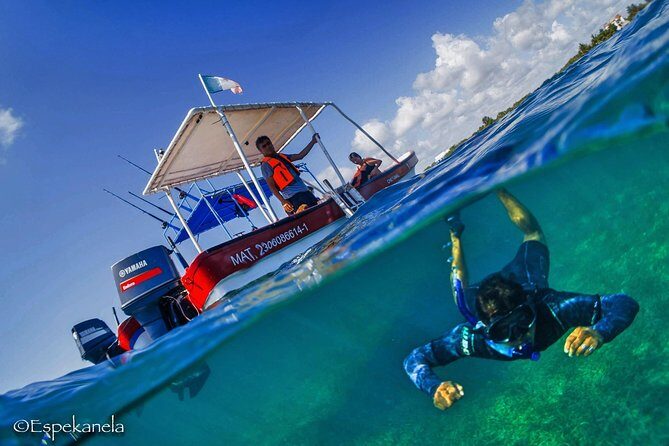 Snorkel boat tour in search of turtles - The Practicalities: Logistics and Cost