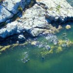 Snorkel, Kayak, and Seal Adventure: Vancouver Boat Tour - FAQ