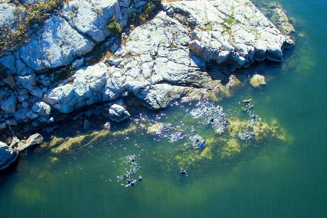 Snorkel, Kayak, and Seal Adventure: Vancouver Boat Tour - FAQ