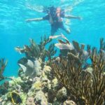 Snorkel Tour on the Costa Maya with experienced Guid - FAQs