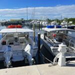 Snorkel Tours to Key Largo reef for up to 6 people-INCLUDES GEAR! - What to Expect During Your Snorkel Adventure