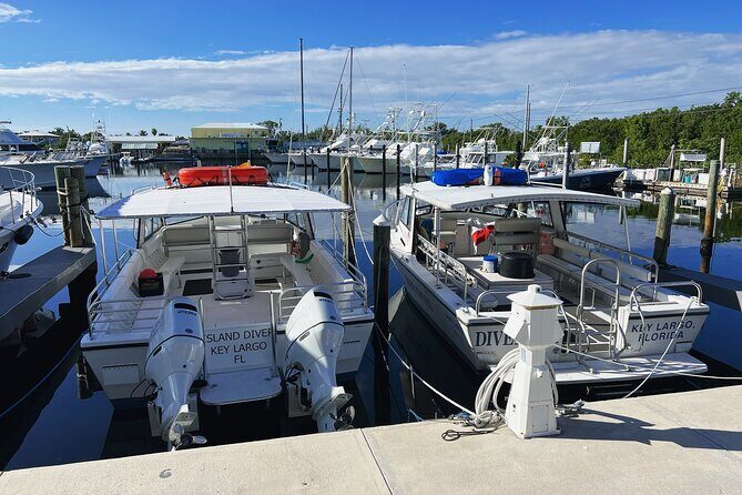 Snorkel Tours to Key Largo reef for up to 6 people-INCLUDES GEAR! - What to Expect During Your Snorkel Adventure