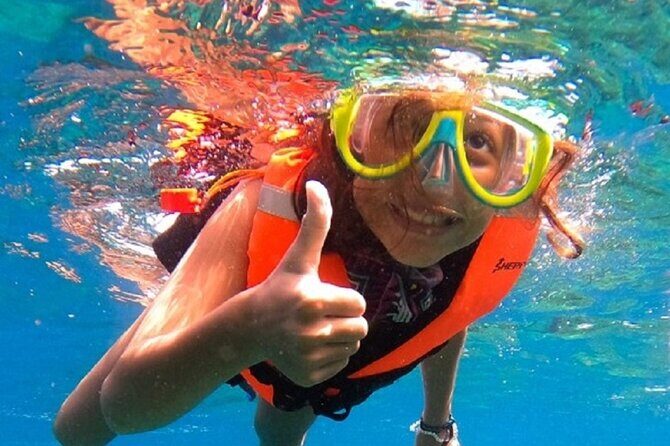 Snorkel with whale sharks includes equipment & transportation - The Reality of the Wildlife Sightings