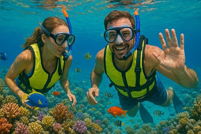 Snorkeling adventure at Puerto Morelos Reef National Park - The Value of the Tour
