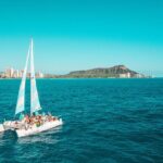 Snorkeling Adventure at Turtle Canyon - The Value of This Tour