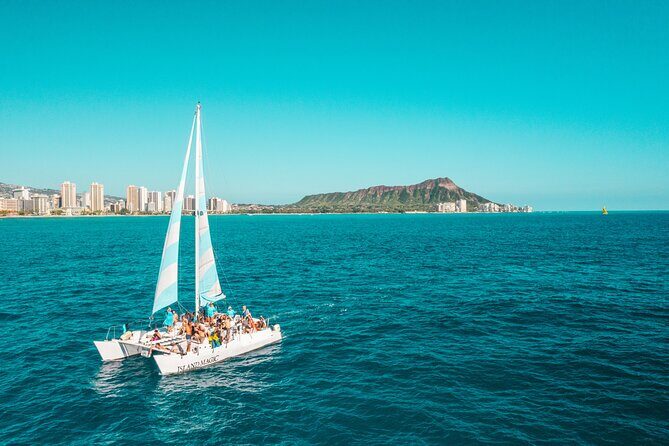 Snorkeling Adventure at Turtle Canyon - The Value of This Tour