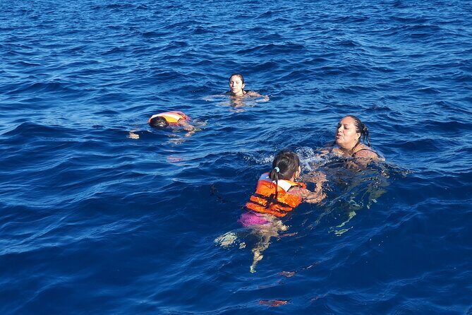 snorkeling adventure - The Value of the Tour: Is It Worth It?