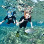 Snorkeling - By boat on site in the Bay of Cannes or Estérel - Who Should Consider This Tour?