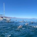 Snorkeling Catamaran Island Cruise - The Value of the Experience