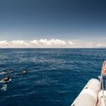 Snorkeling Experience in Terceira Island - Why This Tour Might Be Worth It