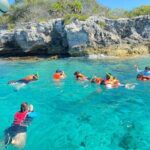 Snorkeling in Isla Mujeres and Underwater Museum - What to Expect From the Snorkeling Stops