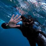 Snorkeling in Vila Franca do Campo - What Makes This Experience Stand Out