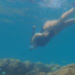 Snorkeling San Carlos with a Marine Biologist - FAQs