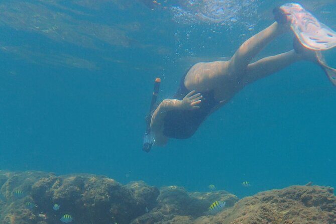 Snorkeling San Carlos with a Marine Biologist - FAQs