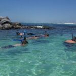 Snorkeling, Shelling & Eco Excursion - What Can You Expect During the Tour?