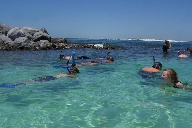Snorkeling, Shelling & Eco Excursion - What Can You Expect During the Tour?
