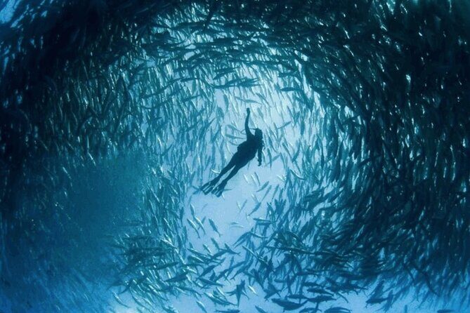 Snorkeling Tour at Land's End in Cabo San Lucas - The Pros and Cons: A Balanced View