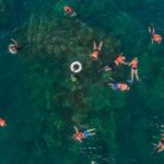 Snorkeling tour in Cabo San Lucas - FAQ