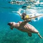 Snorkeling Tour with Turtles and Stingrays Puerto Morelos - The Real Experience: What Travelers Say