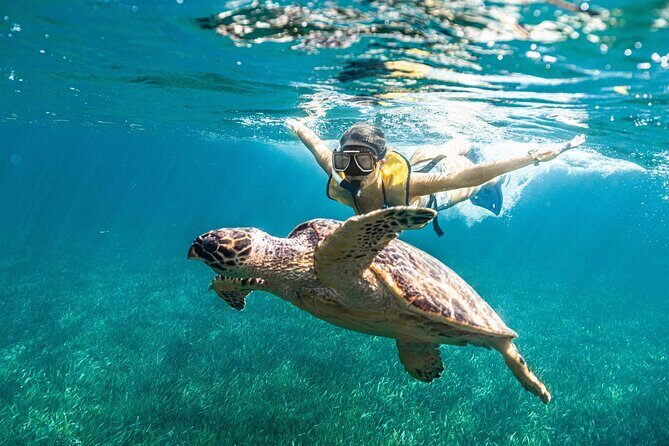 Snorkeling Tour with Turtles and Stingrays Puerto Morelos - The Real Experience: What Travelers Say