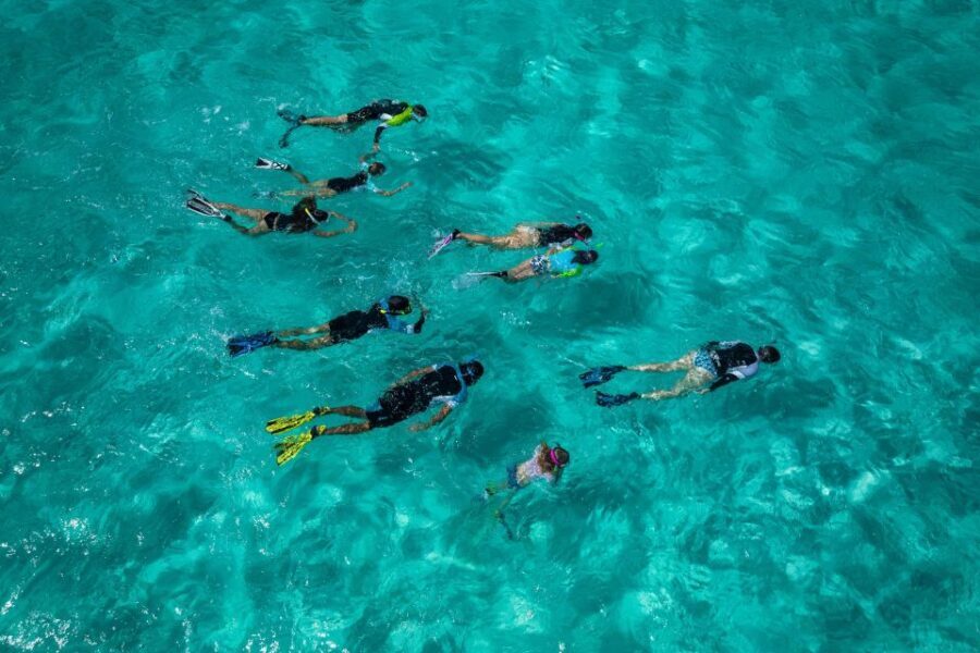 Snorkeling Trips in Amorgos - Cost and Value for Money