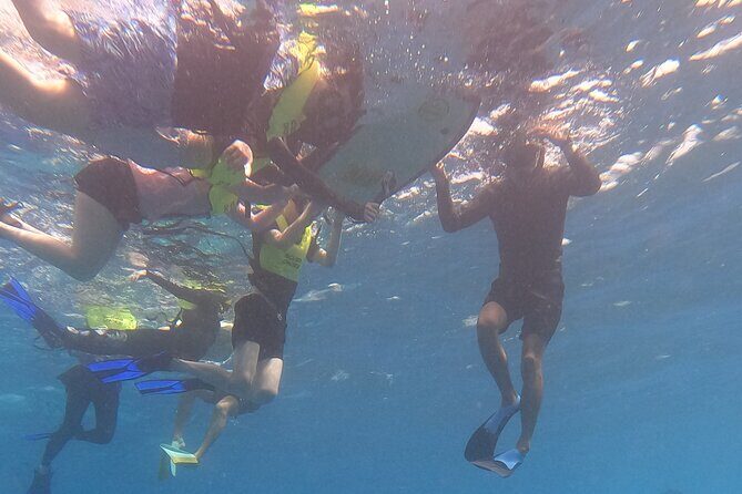 Snorkeling with Turtle/Water Scooter/Paddleboard Adventures Oahu - The Experience: What You Can Expect