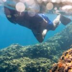 Snorkelling & Marine Biology Experience in the Cinque Terre - What Will You See and Do?