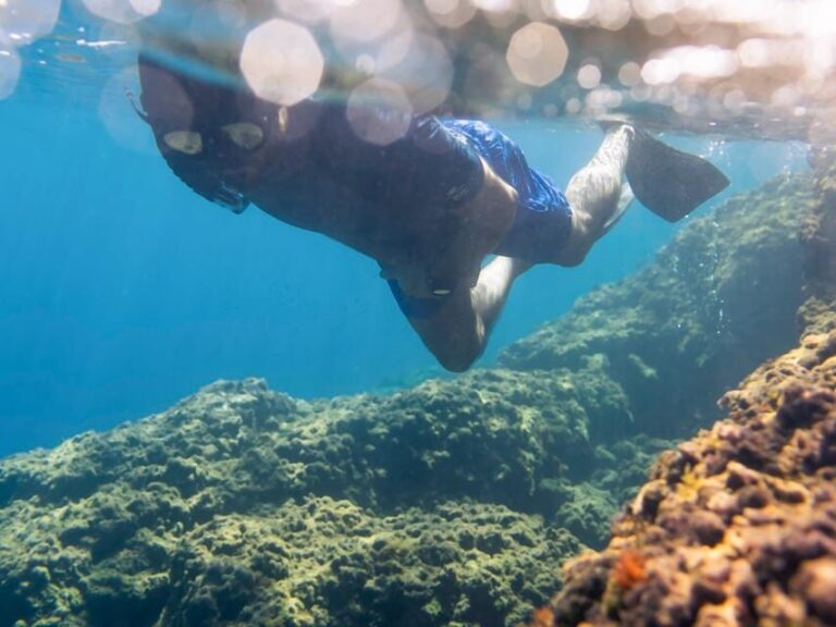 Snorkelling & Marine Biology Experience in the Cinque Terre - What Will You See and Do?
