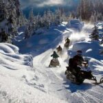 Snowmobile & Animals Day Tour - The Experience on the Ground