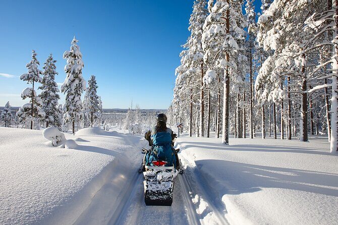 Snowmobile Safari 2h - Is This Tour Worth the Price?
