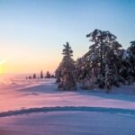 Snowmobile Safari in the Nature - Morning start - The Route and Stops