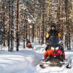 Snowmobile Safari into the Arctic Circle Forest - Why This Tour Might Be Perfect for You
