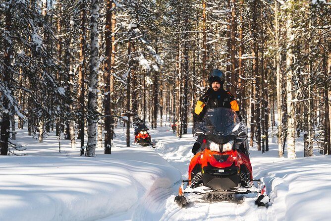 Snowmobile Safari into the Arctic Circle Forest - Why This Tour Might Be Perfect for You