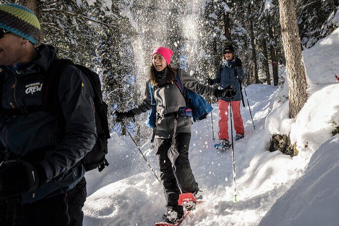 Snowshoe Adventure in the Swiss Alps - Who Is This Tour Best For?
