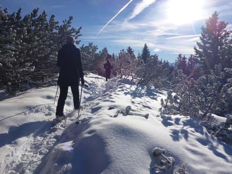 Snowshoe hike in Berchtesgadener Land - Why This Tour Could Be a Great Choice