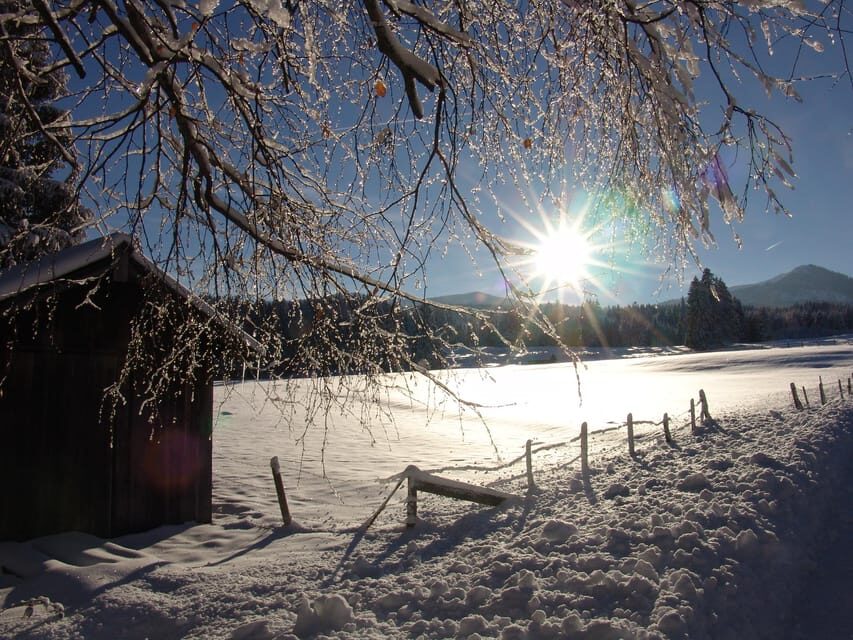 Snowshoe hike in the Allgäu - Who Is This Tour Best For?
