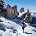 Snowshoe Tour Big Bear Lake with Hot Chocolate - Is This Tour Worth the Price?
