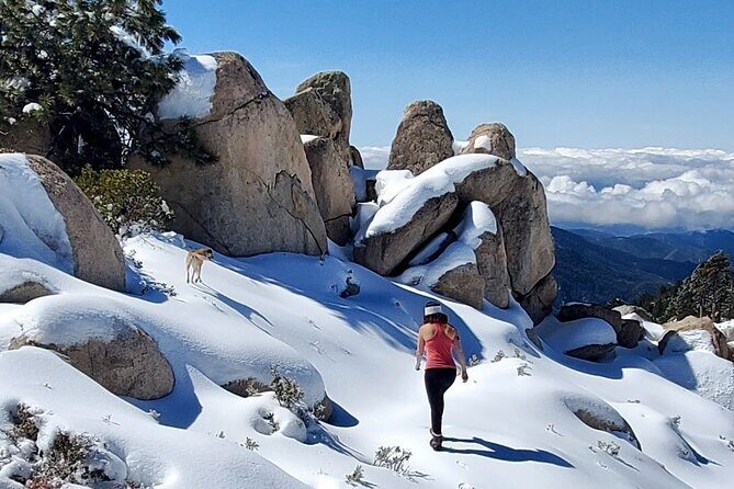Snowshoe Tour Big Bear Lake with Hot Chocolate - Is This Tour Worth the Price?