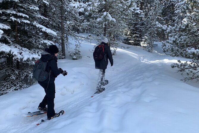 Snowshoeing Adventure in the Rocky Mountains Close to Denver - What’s Included and What’s Not