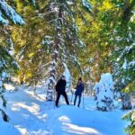 Snowshoeing Fun Tour from Cluj Napoca - The Route in Detail