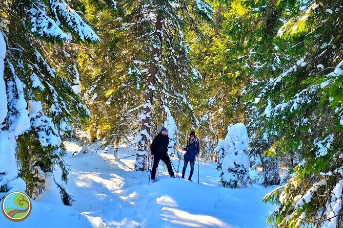 Snowshoeing Fun Tour from Cluj Napoca - The Route in Detail