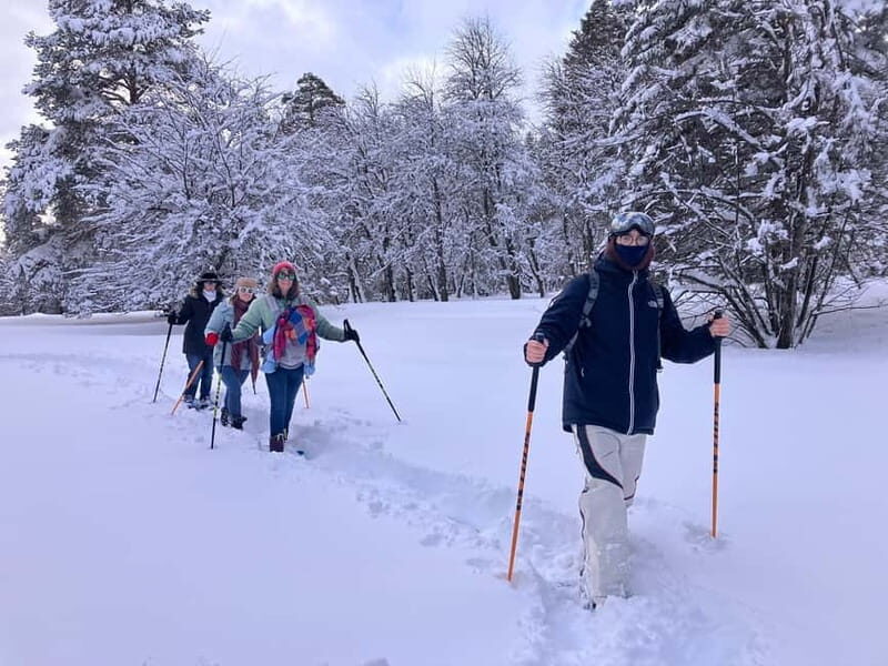 Snowshoeing in Bakuriani, Caucasus Mountains - Detailed Itinerary Breakdown