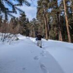 Snowshoeing in Georgia: Borjomi-Kharagauli National Park - Authentic Experience & Real Traveler Insights