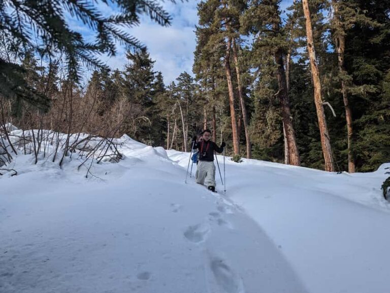 Snowshoeing in Georgia: Borjomi-Kharagauli National Park - Authentic Experience & Real Traveler Insights