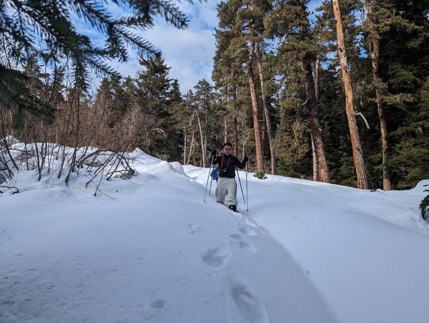 Snowshoeing in Georgia: Borjomi-Kharagauli National Park - Authentic Experience & Real Traveler Insights
