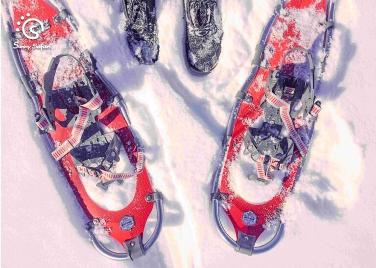 Snowshoeing in Lapland Wilderness - What You’ll Do During the Tour