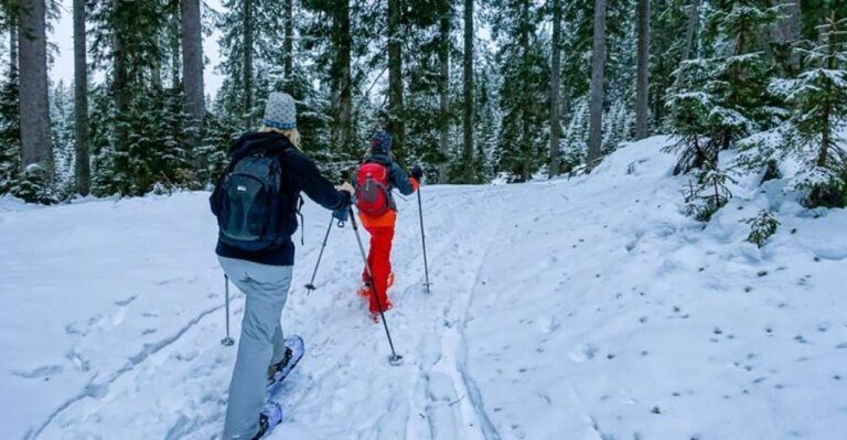 Snowshoeing in Triglav National Park - The Itinerary Breakdown
