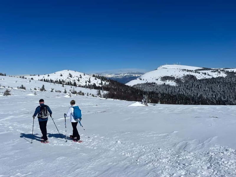 Snowshoeing on the Lure mountain - Practical Tips for Your Snowshoe Adventure